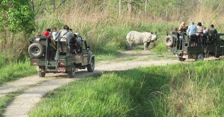 Jeep Safari in Nepal: The Complete Guide to Chitwan, Bardia and Beyond